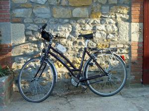 Vélo sur le terrain de l'établissement Chambres d'Hôtes Domaine du Bourg ou dans les environs