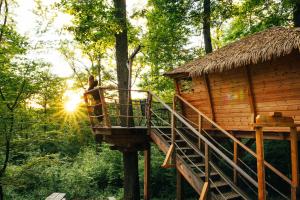 Příroda nedaleko luxury tent