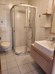 a bathroom with a shower and a toilet and a sink at Résidence au cœur du village in Leukerbad