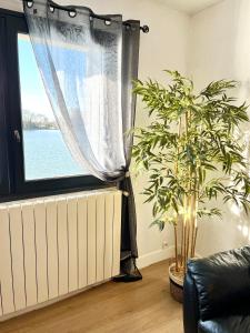a living room with a window and a potted plant at Le bassin - Vue canal du midi avec climatisation et garage in Castelnaudary +16 photos