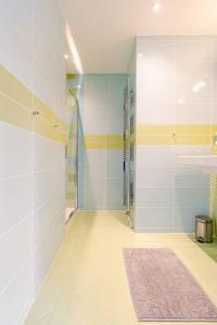 a bathroom with a walk in shower and a rug at Tussen Tulp & Zee in Noordwijk +20 photos