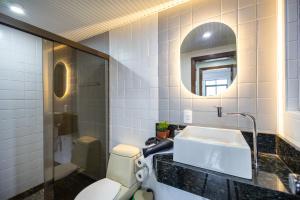 a bathroom with a toilet and a sink and a mirror at Centro Blumenau Rota Gastronômica Piscina in Blumenau