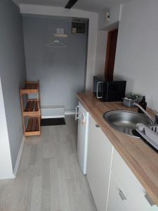 Kuchnia lub aneks kuchenny w obiekcie Apartament Mariacka