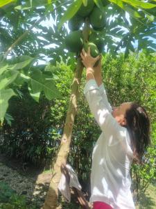 a woman reaching up to grab a green fruit on a tree at AnAn Boutique Bungalows with Private Kitchen in Phu Quoc