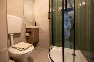 un bagno con wc e doccia in vetro di Cozy Studio Retreat - Quiet, Premium Stay a Timişoara