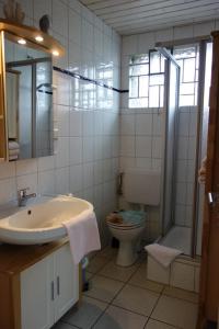 Un baño con inodoro, lavabo y ducha. en Haus Carstensen-Bungalow 1, en Wyk auf Föhr