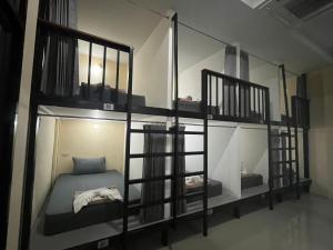 3 TIGERS Resort & Hostel客房内的一张或多张双层床