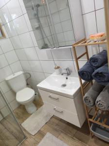 a bathroom with a sink and a toilet and a mirror at Domek pod sosnami in Grodziczno