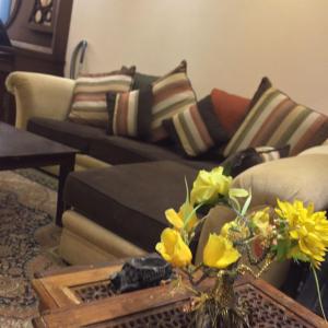 Fotografie z fotogalerie ubytování Hala v destinaci Alexandria