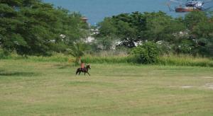 Imagen de la galería de Panoramic Ocean view Playa Blanca Suite, en Playa Blanca