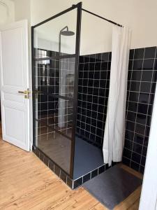 a bathroom with a shower with black tiled walls at Appart cœur de ville belle vue in Vichy +12 photos