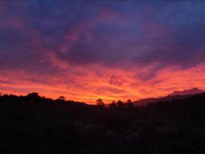 een zonsondergang boven een berg met bomen op de voorgrond bij Horseshoe Valley in Wilderness