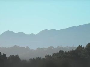 een mistige lucht met bomen op de achtergrond bij Horseshoe Valley in Wilderness