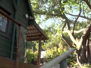 een huis met een veranda en een boom bij Horseshoe Valley in Wilderness