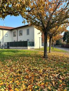 ein Haufen Blätter auf dem Boden unter einem Baum in der Unterkunft Villa&Colombo in Rho