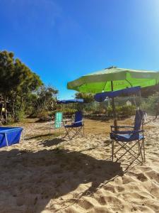 Příroda nedaleko kempu + 5 fotografií