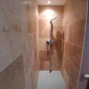 un bagno con doccia e WC al suo interno di Gite orizon a Monthureux-sur-Saône