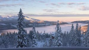 Gambar di galeri bagi Exclusive Apartment in Björnen di Åre