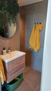 un bagno con lavandino e specchio di B&B Aan de Lankeren -exclusief ontbijt- a Voorthuizen Altre 20 foto