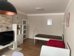 a living room with a couch and a television at Apartmán U Rybníčku in Loučná nad Desnou