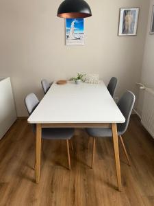 a white table with chairs and a black lamp at Apartmán U Rybníčku in Loučná nad Desnou