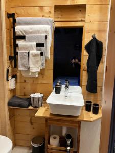 Foto dalla galleria di Chalet Alpina Gyger a Wengen