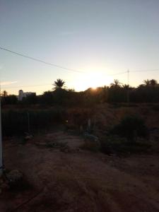 a sunset in a field with palm trees in the background at Elmoubaraka2 in Tataouine