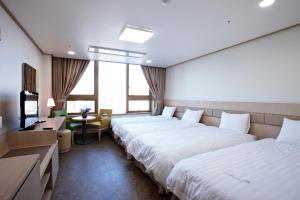 ソウルにあるハイソウル ユースホステルのベッド2台とテレビが備わるホテルルームです。