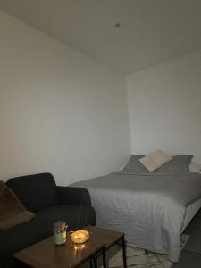 a bedroom with a bed and a couch and a table at Appartement cosy in Livry-Gargan