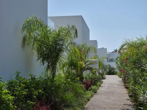 a walkway in front of a building with palm trees at Atlantica Sungarden Park in Ayia Napa