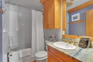 a bathroom with a sink and a toilet and a shower at Cozy Studio Wood Fireplace in Ellicottville