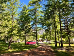 a red car parked on a dirt road between trees at Camping Onlycamp Les Mélèzes in Ceillac