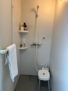 a small bathroom with a shower and a toilet at Guest House新今宫 in Osaka +7 photos