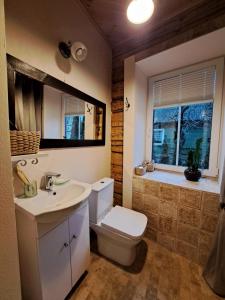 un bagno con un water, un lavandino e una finestra di Stebuklėlis a Pakruojis