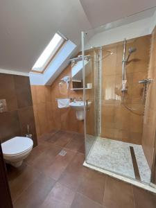 a bathroom with a shower and a toilet and a sink at Ferien Chalet in Buşteni +55 photos