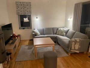 a living room with a couch and a table at Apartment Sjusjøen in Sjusjøen