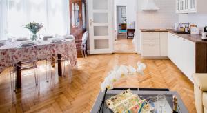 Kuchyň nebo kuchyňský kout v ubytování Kurkowa GamaHome Cozy Apartments