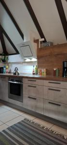 una cucina con fornelli e lavello di Odenwald Lounge im Naturpark Bergstraße-Odenwald a Reichelsheim