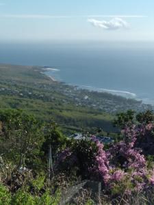 Náttúran í nágrenni sumarhússins