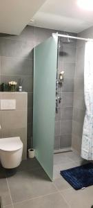 a bathroom with a toilet and a shower at Villa Erdődy Resort - Apartmán U veveričky in Oravská Lesná +9 photos