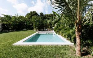 Bazén v ubytování Luxury Modern Villa Puerto Aventuras - Rivera Maya nebo v jeho okolí