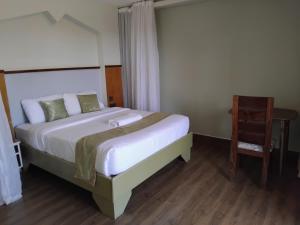 KagioSILVER SLOPES RESORT AND SPA的带一张大床和一把椅子的卧室 更多19张照片