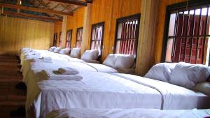 fila de camas blancas en una habitación con ventanas en Whisper Nature Bungalow & Resort en Cat Ba