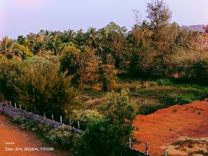 Φωτογραφία από το άλμπουμ του Ocean pearl 01 σε Kāsarkod