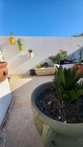 Zahrada ubytování Appartement Beatrice Tantana #direkt am Meer#