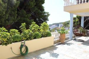 a garden on a balcony with plants at Eleni's Guest House in Patitiri