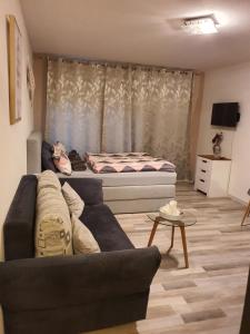 a living room with a couch and a bed at Schönes Modernes Apartment in der Nähe vom Bahnhof in Tübingen