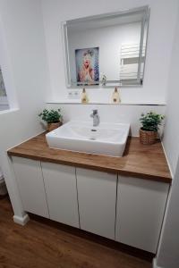 ein Badezimmer mit einem weißen Waschbecken und einem Spiegel in der Unterkunft Villa Kreuzbergl - Apartment in Klagenfurt am Wörthersee + 10 Fotos