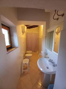 a bathroom with a sink and a toilet at Podere Santa Giulia - casale Francianina in Piombino