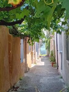 Κήπος έξω από το Saint-Gervais